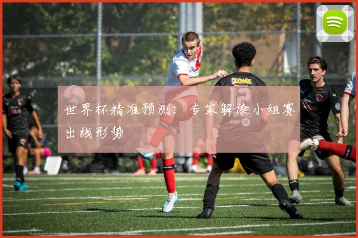 世界杯精准预测：专家解读小组赛出线形势